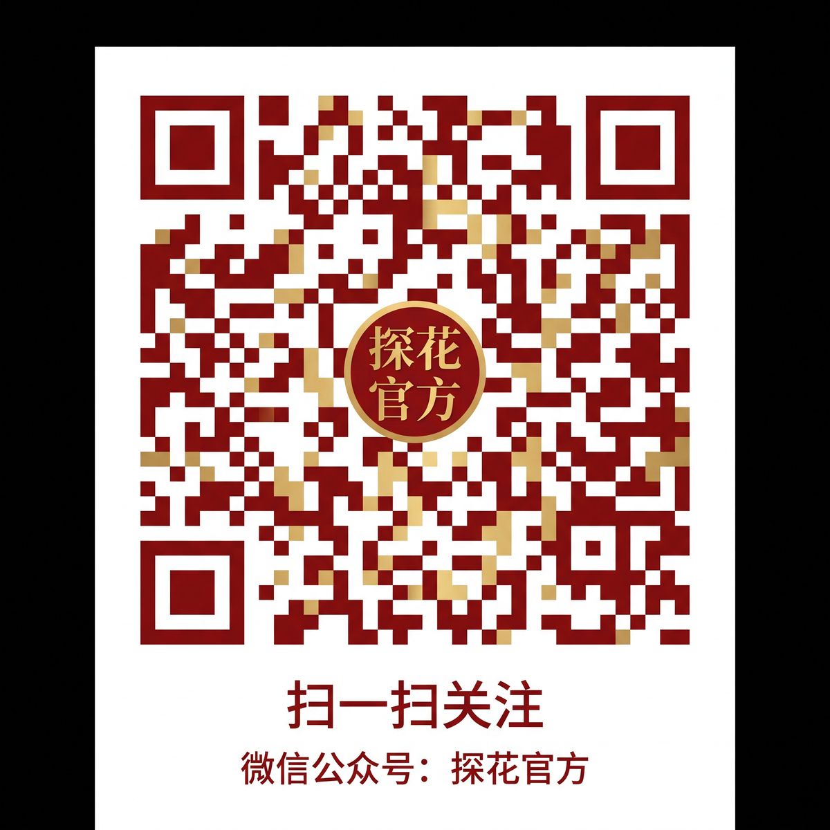 国产视频公众号